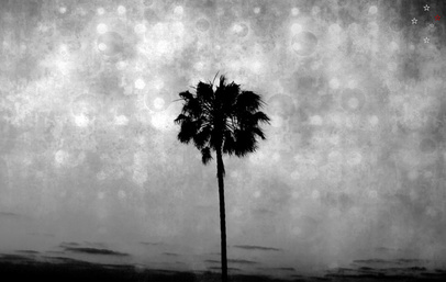Palm Tree Lights by Derek Delacroix