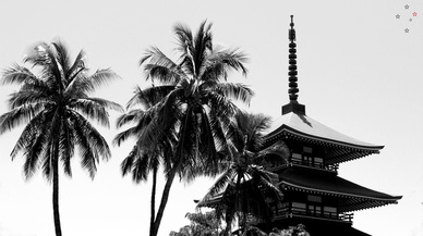 Pagoda Palms by Derek Delacroix