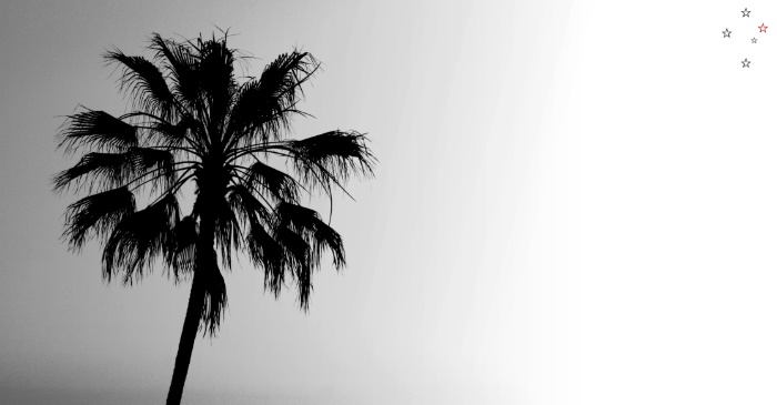 Palm Tree Fade