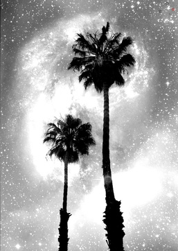 Palm Tree Galaxy - Derek Delacroix