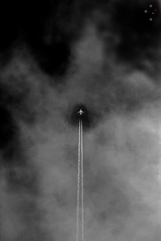 Take Flight by Derek Delacroix