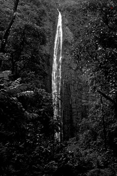 Waimoku Falls by Derek Delacroix