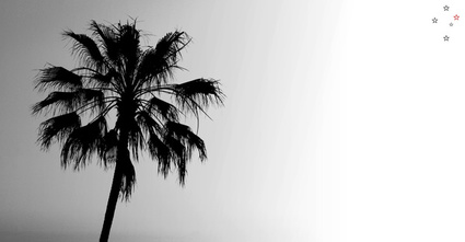 Palm Tree by Derek Delacroix