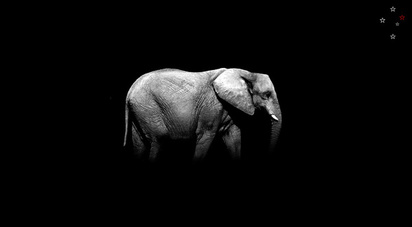 Elephant by Derek Delacroix