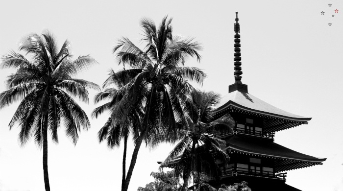 Pagoda Palms