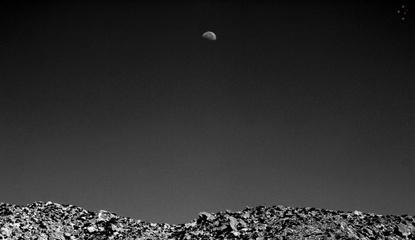 Desert Moon