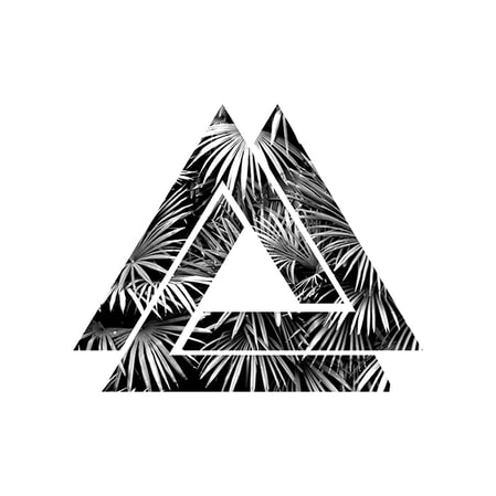 Tropical Triangles